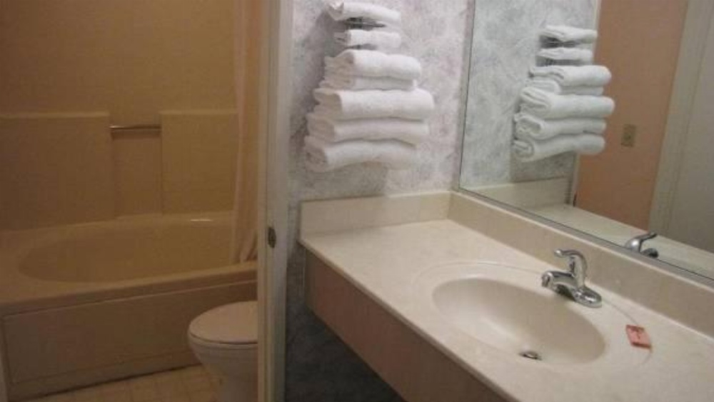 Nisei Hanı Ana resim